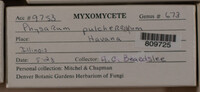 Image Associated With the Occurence
